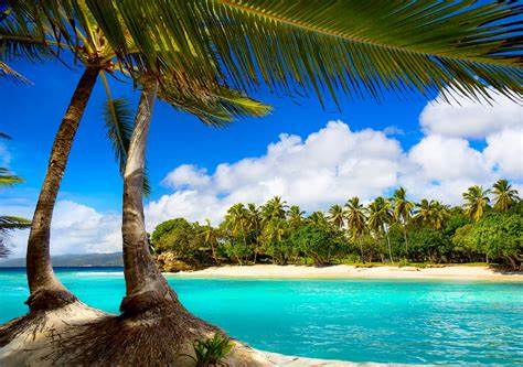 Beach scene